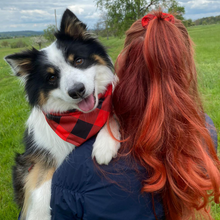 Lade das Bild in den Galerie-Viewer, Buddy Bandana Hundehalstuch rot kariert für Aussi und verschiedene Hunderassen Set mit Haarband / Scrunchie

