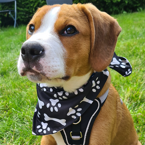 Buddy Bandana Hundehalstuch Schwarz Weiss mit Scrunchie und Haarband für Beagle und verschiedene Hunderassen