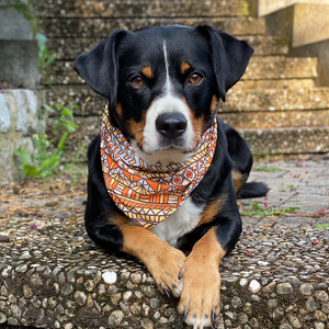 Buddy Bandana Hundehalstuch Orange Gelb Muster für verschiedene Hunderassen