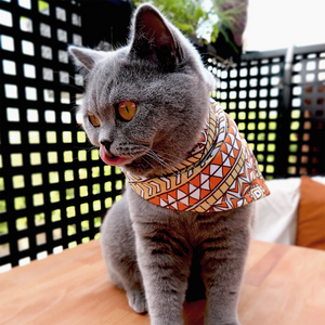 Buddy Bandana Hundehalstuch Orange Gelb Muster für Katzen und verschiedene Hunderassen